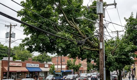 Tree branch cutting Central Avenue corridor