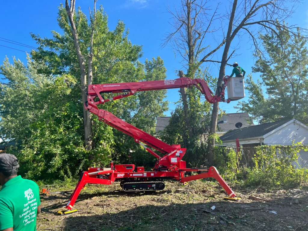 Tree Removal Service Watervliet NY