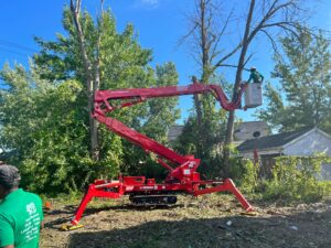 Tree Removal Service Watervliet NY