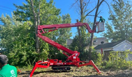 Tree Removal Service Watervliet NY