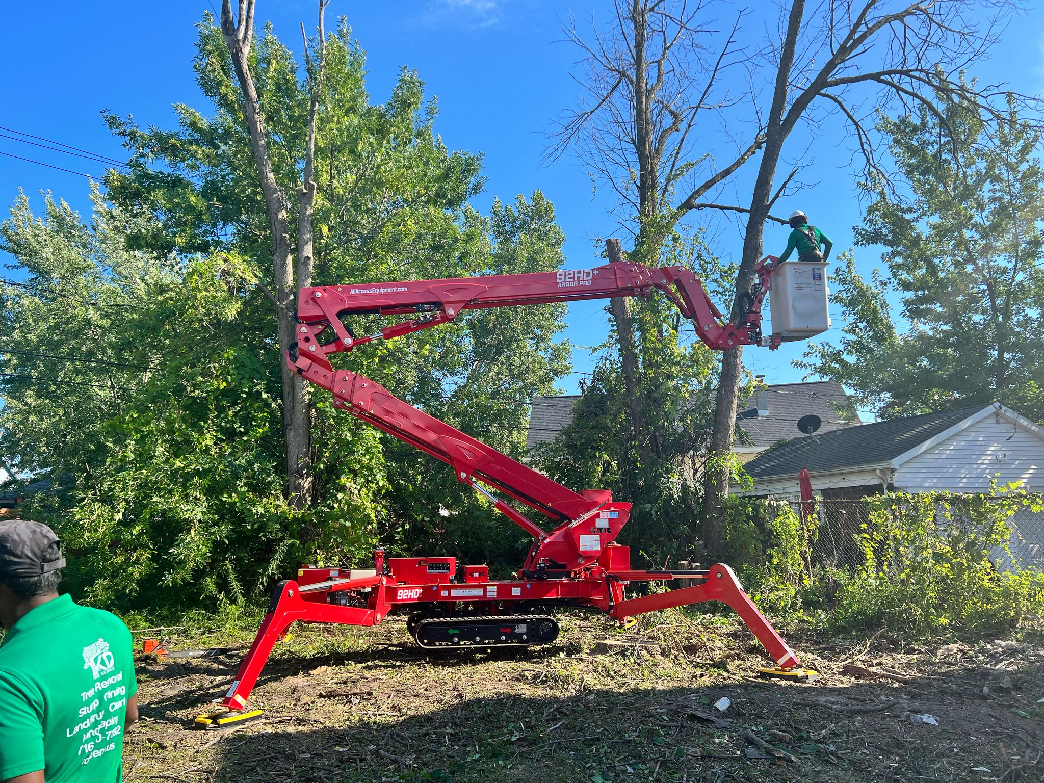 Tree Removal in Watervliet NY: Tight Yard & Small Space Property Protection