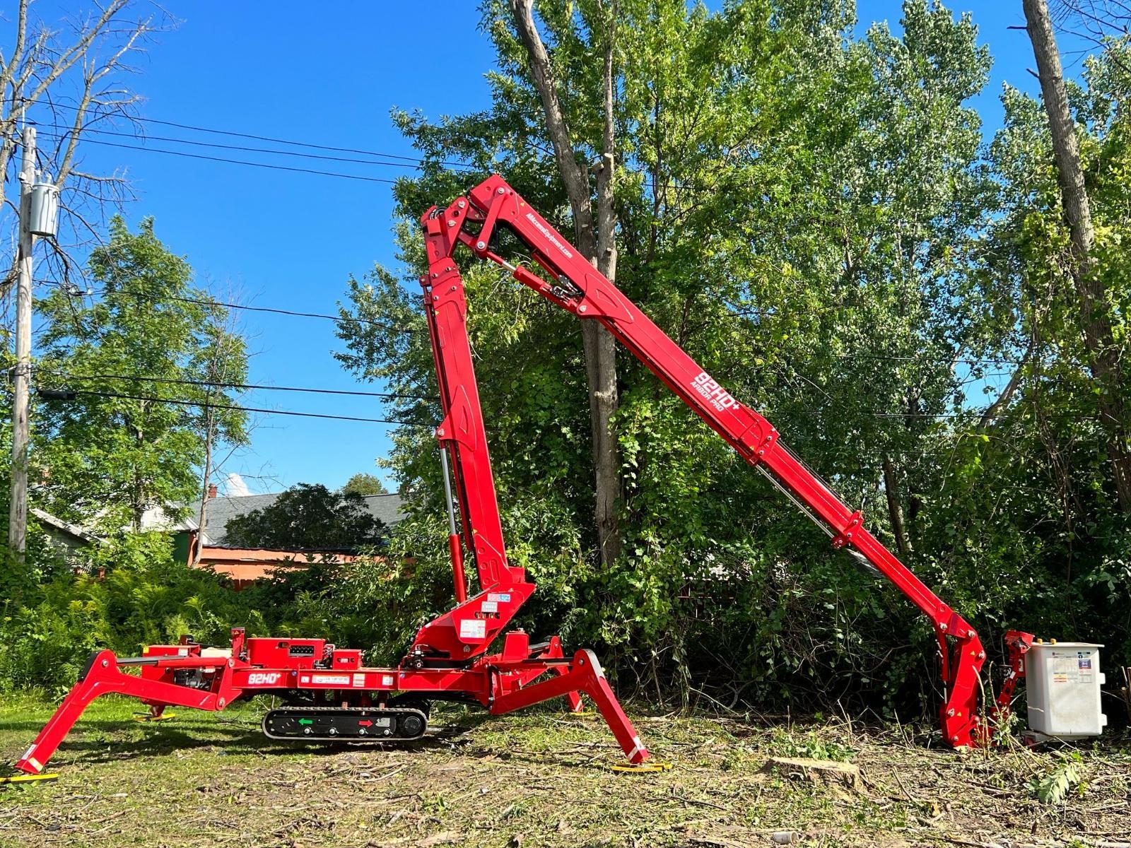 Tree Service Near Delaware Avenue Albany NY