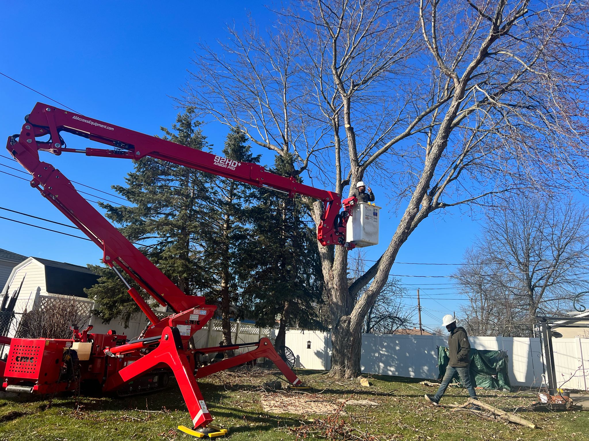 Historic Property Tree Removal Troy NY: How Professionals Protect Historic Foundations