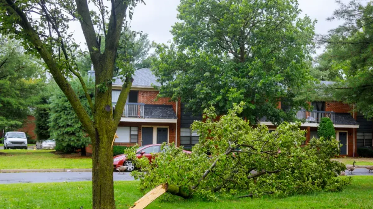 best Kearsarge’s Urban Homes