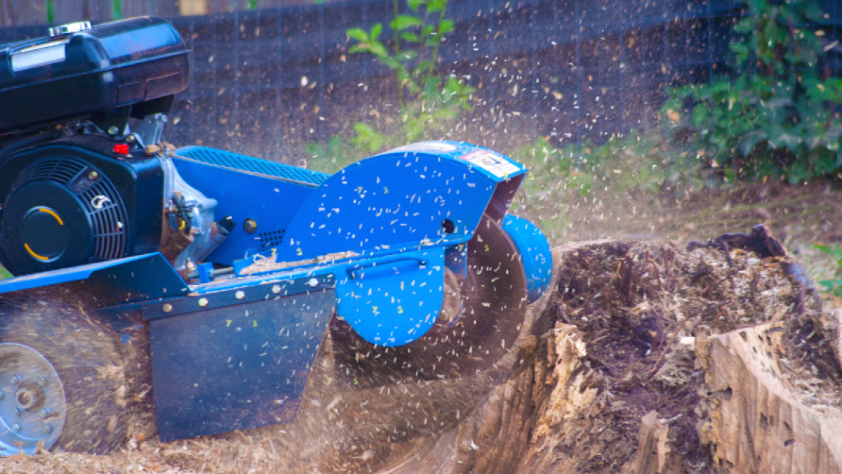 Process of Tree Grinding in Rochester, NY