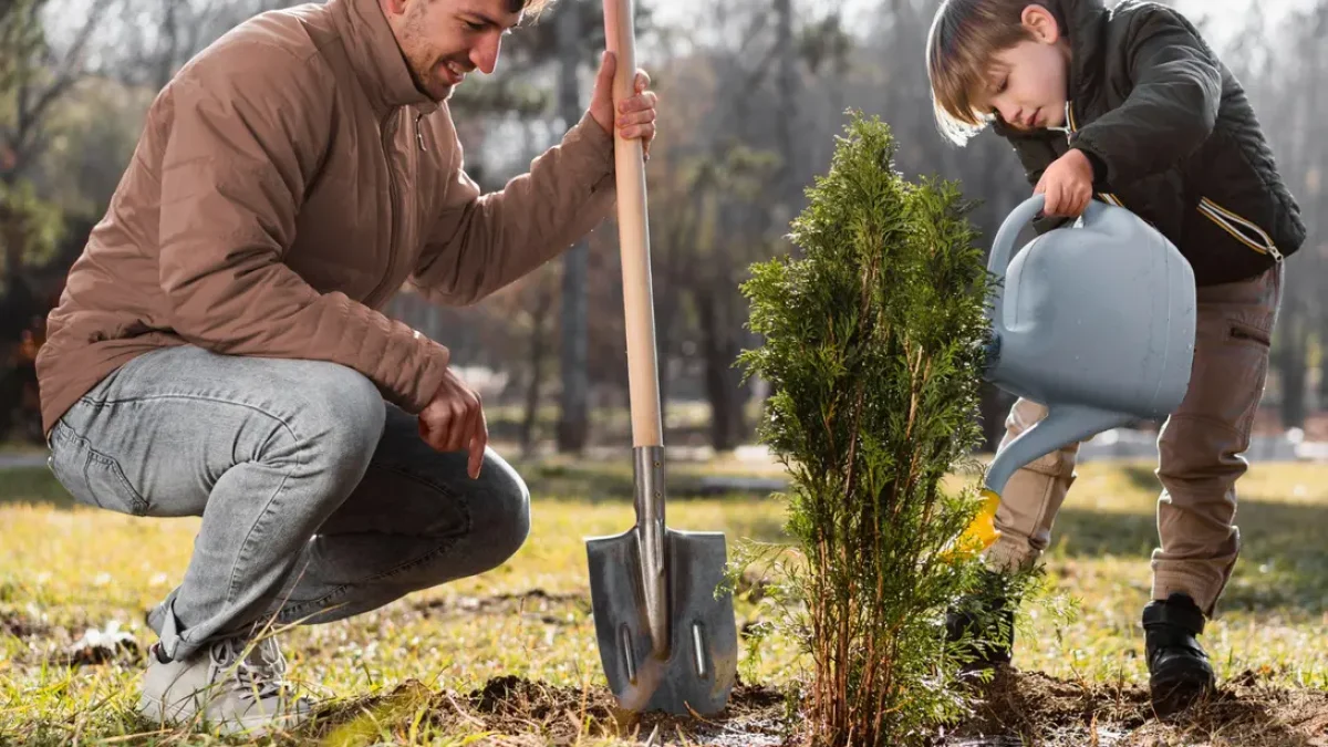 How to Prepare Your Trees for the Growing Season
