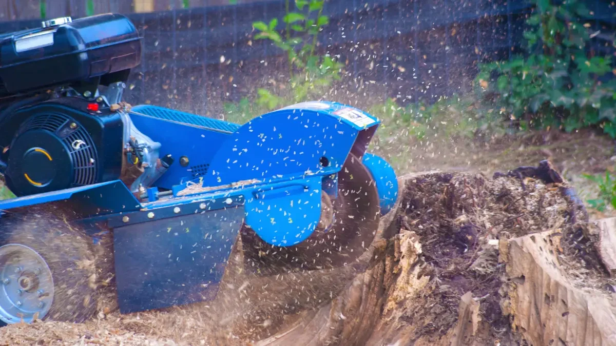 Stump Grinding Solutions for Fairview’s Scenic Yards