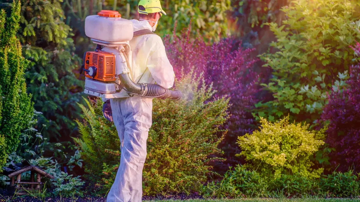 Treating Tree Pests in McKean’s Agricultural Zones