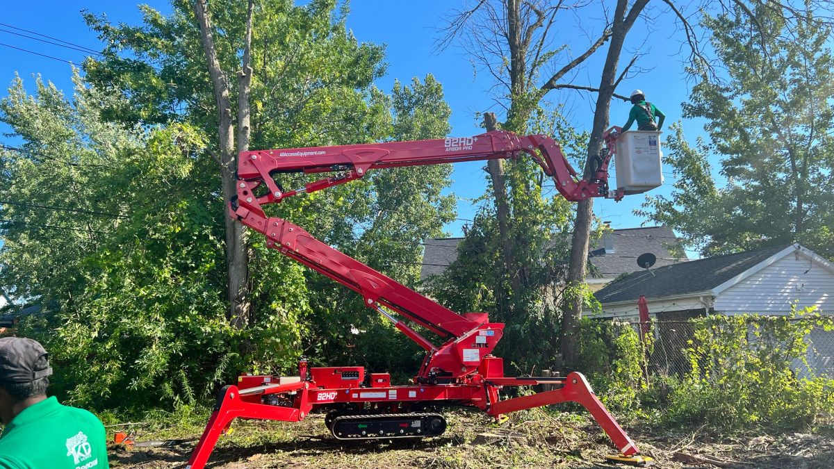 Tree Removal Service Watervliet NY
