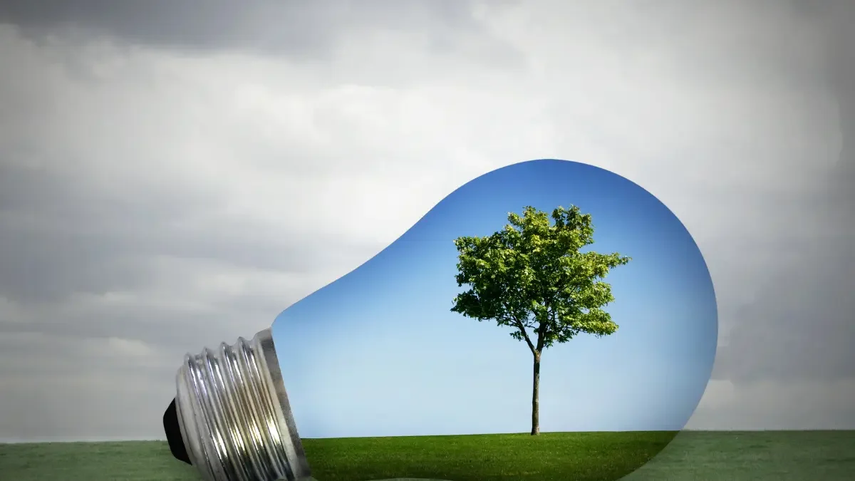  Eco-Friendly Tree Care Solutions for Albany’s Nature-Loving Community