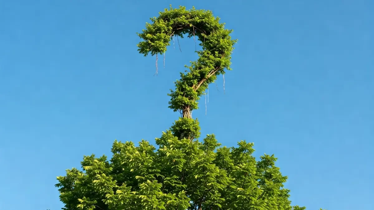 A large question mark shaped from green vines, symbolizing common questions about tree services.