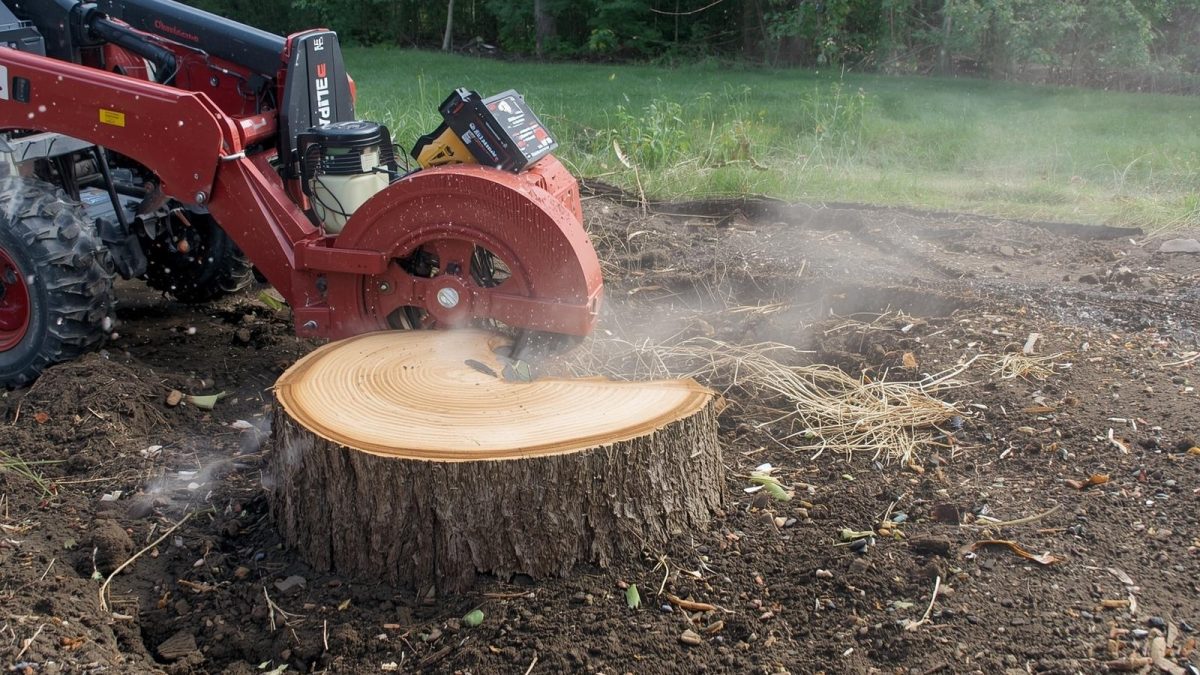stump grind albany ny