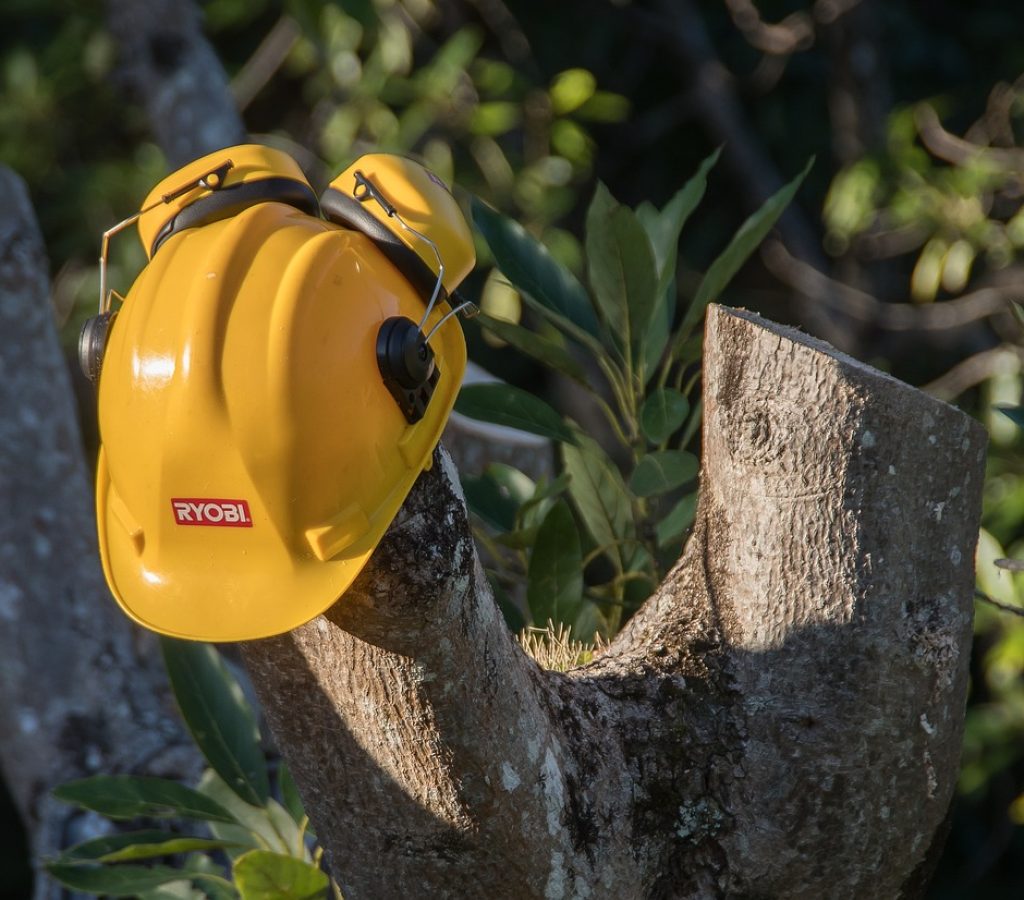 Emergency Tree Services