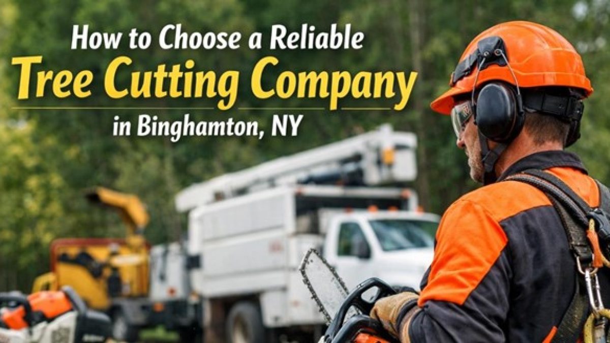 tree cutting company binghamton